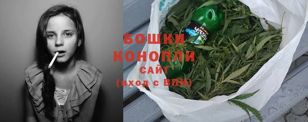 ALPHA-PVP Новозыбков