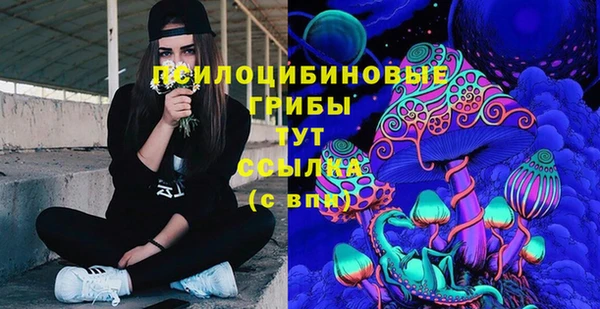 ALPHA-PVP Новозыбков