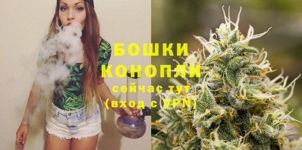 ALPHA-PVP Новозыбков