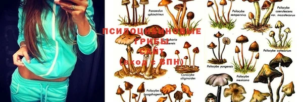 MESCALINE Новокубанск