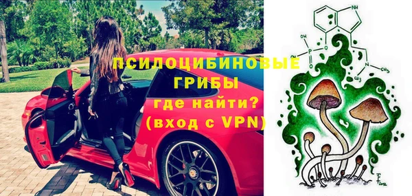 прущая мука Новодвинск